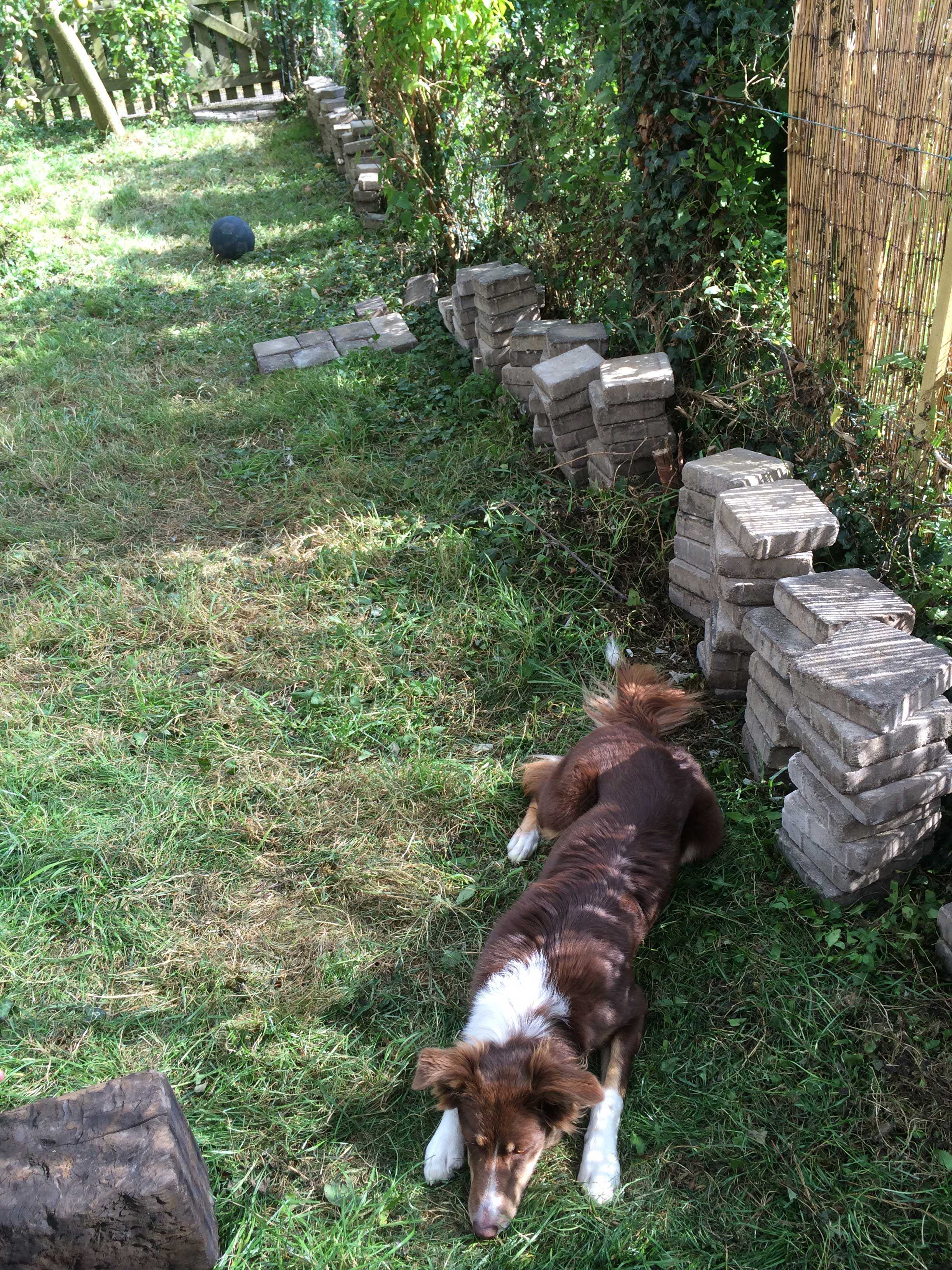 Bricks in garden 2