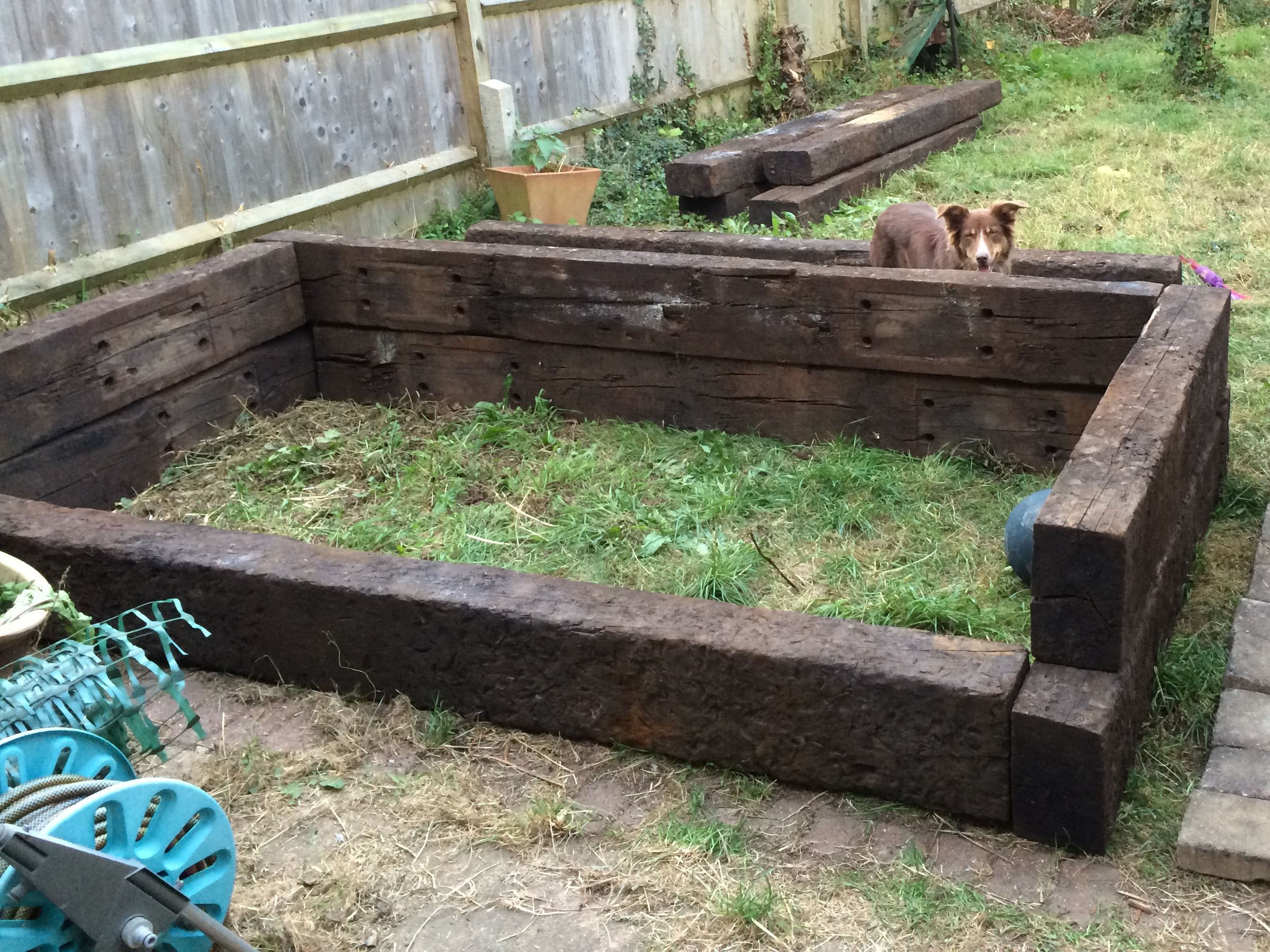 Raised Bed Height 1