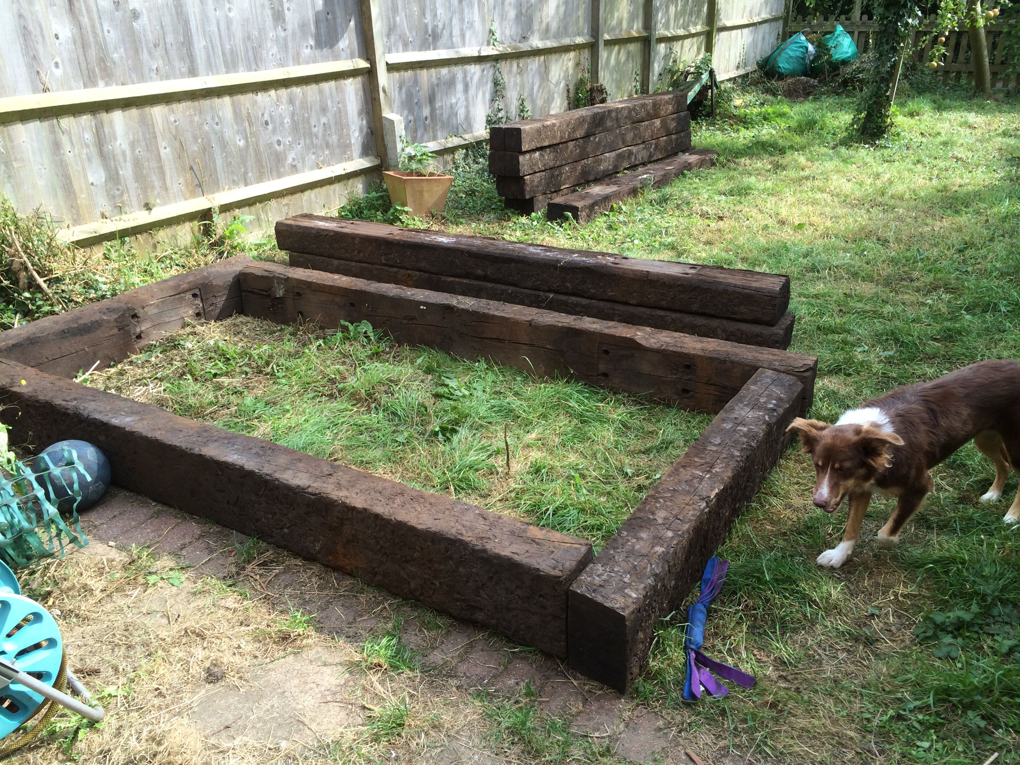 First layout of raised bed