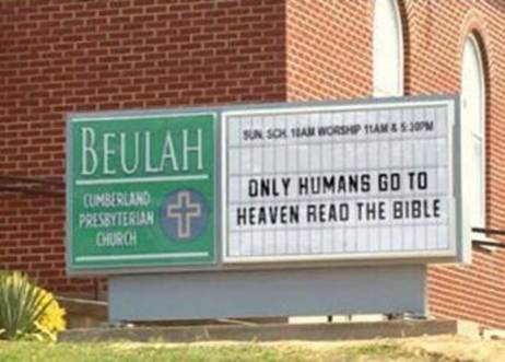 Only Humans Go To Heaven Read The Bible