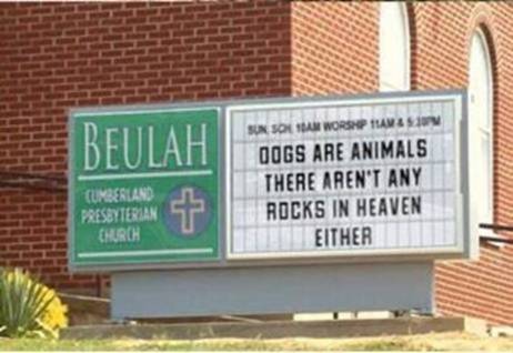Dogs Are Animals There Aren't Any Rocks In Heaven Either