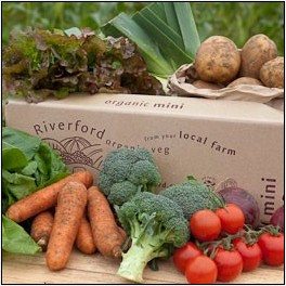 Small Veg box from Riverford