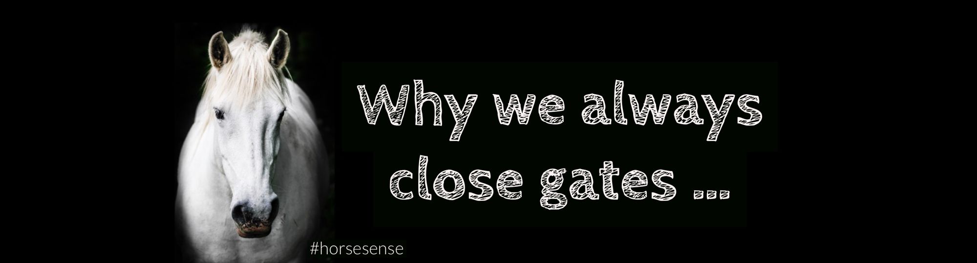 #HorseSense - Why we always close gates …
