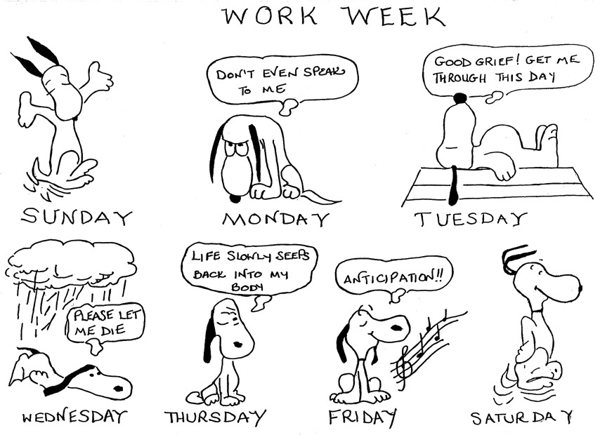 The Working Week - A Humorous Guide