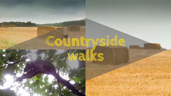 Countryside Walks