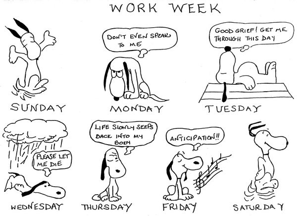 The Working Week - A Humorous Guide